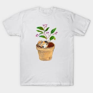 Cat in a pot T-Shirt